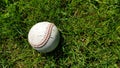 White old baseball ball on fresh green grass with copy space closeup. American sports baseball game