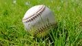 White old baseball ball on fresh green grass with copy space closeup. American sports baseball game Royalty Free Stock Photo