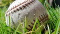 White old baseball ball on fresh green grass with copy space closeup. American sports baseball game Royalty Free Stock Photo