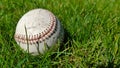 White old baseball ball on fresh green grass with copy space closeup. American sports baseball game