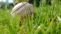 White old baseball ball on fresh green grass with copy space closeup. American sports baseball game Royalty Free Stock Photo