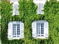 White old house covered with leaves of wild grapes Royalty Free Stock Photo