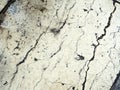 The white old marble slab with cracks is located diagonally. Royalty Free Stock Photo