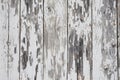 White Old Painted Wood Fence Texture