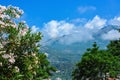 White oleanders against the background of mountains and clouds in Montenegro