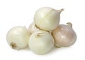 White onion Royalty Free Stock Photo
