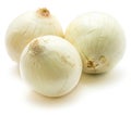 White Onion Royalty Free Stock Photo