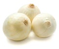 White Onion Royalty Free Stock Photo