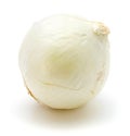 White Onion Royalty Free Stock Photo