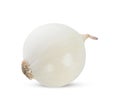 White onion on white background