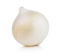 White onion Royalty Free Stock Photo