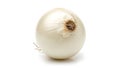 A white onion on a white background (ai generated) Royalty Free Stock Photo
