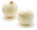 White Onion Royalty Free Stock Photo
