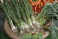White Onions, allium cepa, and Carrots, daucus carota in Basket