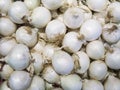 White onions on the counter in the store, close-up. Royalty Free Stock Photo