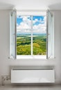 White open double door window