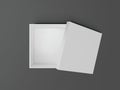 White open empty squares cardboard box top view. Mockup template for design products, package, branding, advertising. Vector i
