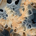 Abstract Digital Design With Fractal Patterns And Contrasting Colors