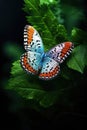 White, orange and black butterfly perched on leaf, created using generative ai technology Royalty Free Stock Photo