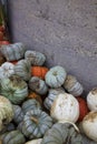 White, Orange and Blue-Gray Cinderella Pumpkins Wait for a Stormy Bath by a Gray Pumpkin Patch Silo