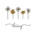 White and orange daisy flowers with writing