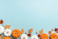 White and orange decorative pumpkins top view on blue background