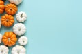 White and orange decorative pumpkins top view on blue background