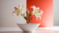 White and Orange Lilies in a Pot on a Red Background. Royalty Free Stock Photo