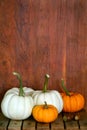 White and orange miniature pumpkins