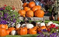 White and Orange Pumpkin Fall Still Life Royalty Free Stock Photo