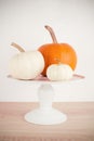 White and orange pumpkins laying on high tray with wooden underground and white background