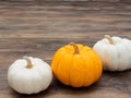 White and orange pumpkins put diagonally on dark wooden background Royalty Free Stock Photo