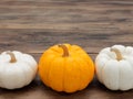 White and orange pumpkins put horizontally on dark wooden background Royalty Free Stock Photo