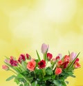 White, orange, red and yellow roses flowers, bouquet, floral arrangement, yellow background, isolated Royalty Free Stock Photo