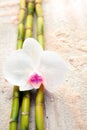 White orchid and bamboo on beach sand Royalty Free Stock Photo