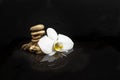 White orchid flower next to golden stones stack on water, on dark background with reflections and ripples Royalty Free Stock Photo