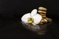 White orchid flower next to golden stones stack on water, on dark background with reflections Royalty Free Stock Photo