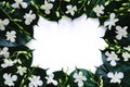 White orchid flowers put with rubber tree leaves Royalty Free Stock Photo