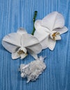 White Orchids & Crystals, Meditation & Peace