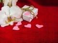 White orchid and gift box on a red background, Valentines Day background. Small paper hearts. Royalty Free Stock Photo