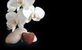 White orchid and love heart isolated on black background. Royalty Free Stock Photo