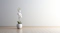 Minimalist White Orchid Vase On Wood Floor