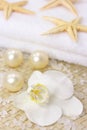White orchid spa Royalty Free Stock Photo