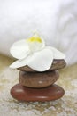 White orchid spa Royalty Free Stock Photo