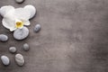 White orchid and spa stones on the grey background. Royalty Free Stock Photo