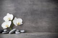 White orchid and spa stones on the grey background. Royalty Free Stock Photo