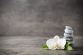 White orchid and spa stones on the grey background. Royalty Free Stock Photo