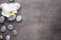 White orchid and spa stones on the grey background. Royalty Free Stock Photo