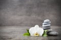 White orchid and spa stones on the grey background. Royalty Free Stock Photo