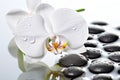 White orchid and spa stones, water drops, white background